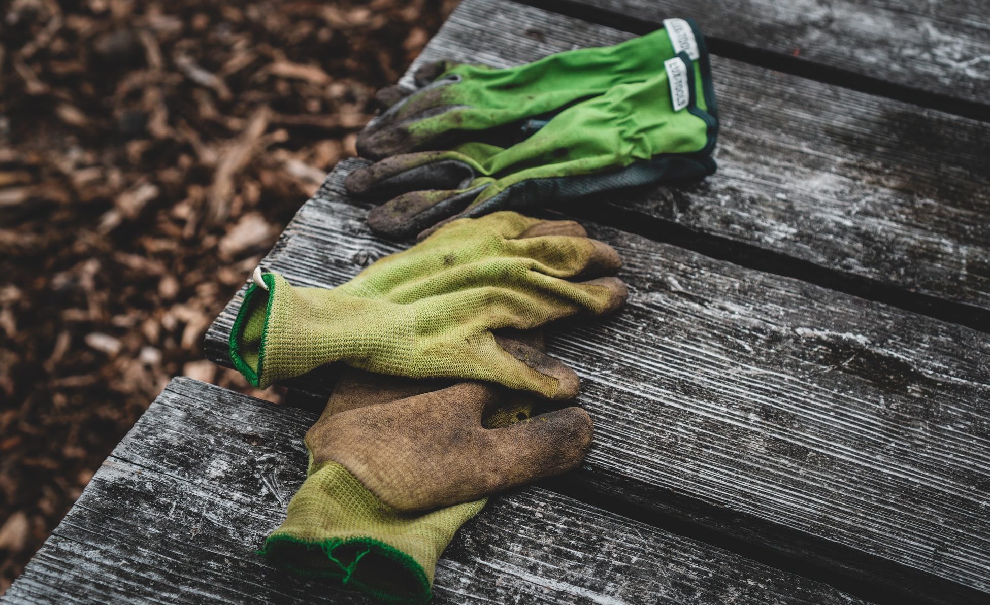 6 Handige tips voor het tuinonderhoud in de winter