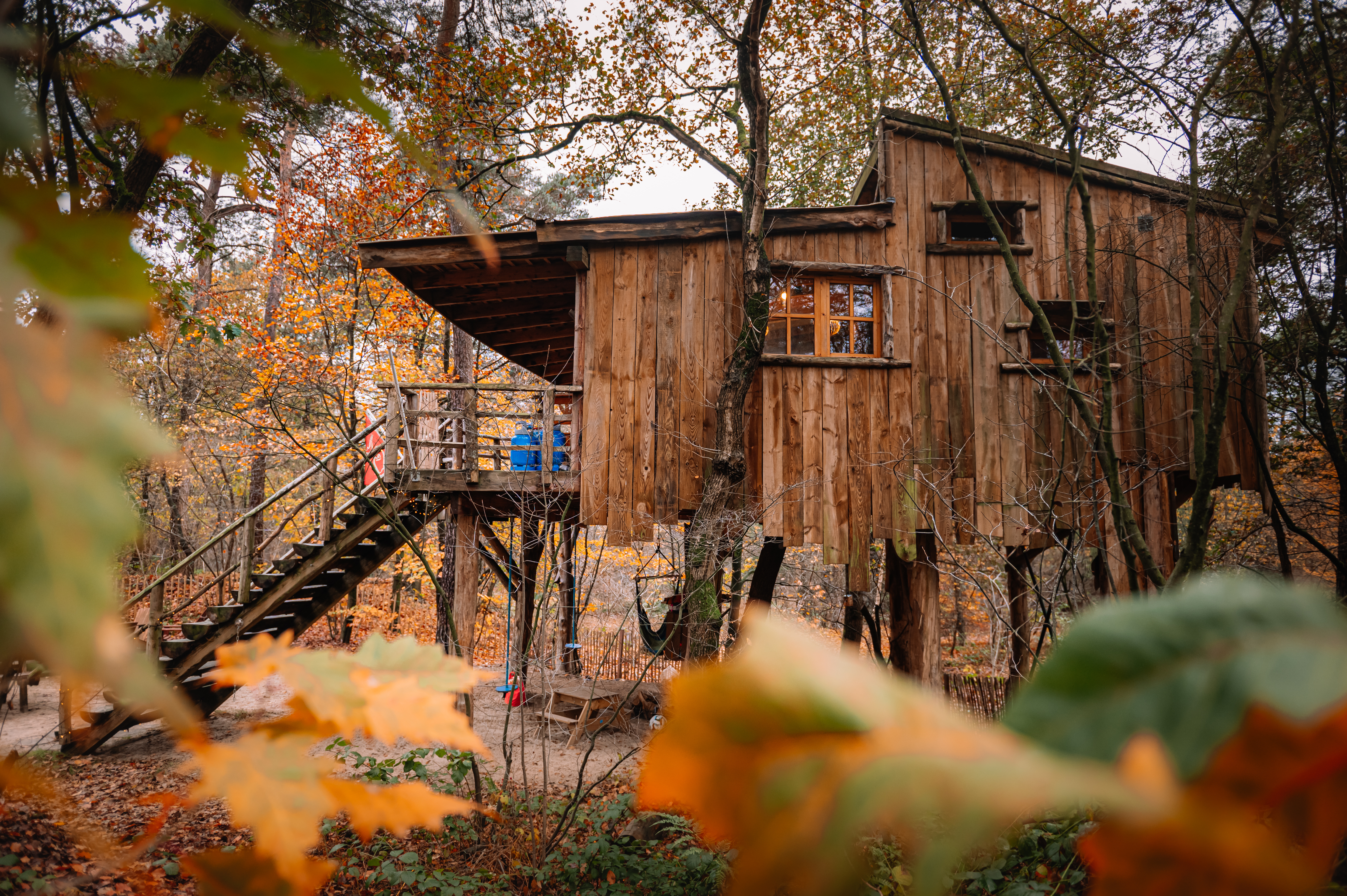 Dit zijn de 5 leukste boomhut overnachtingen in Nederland