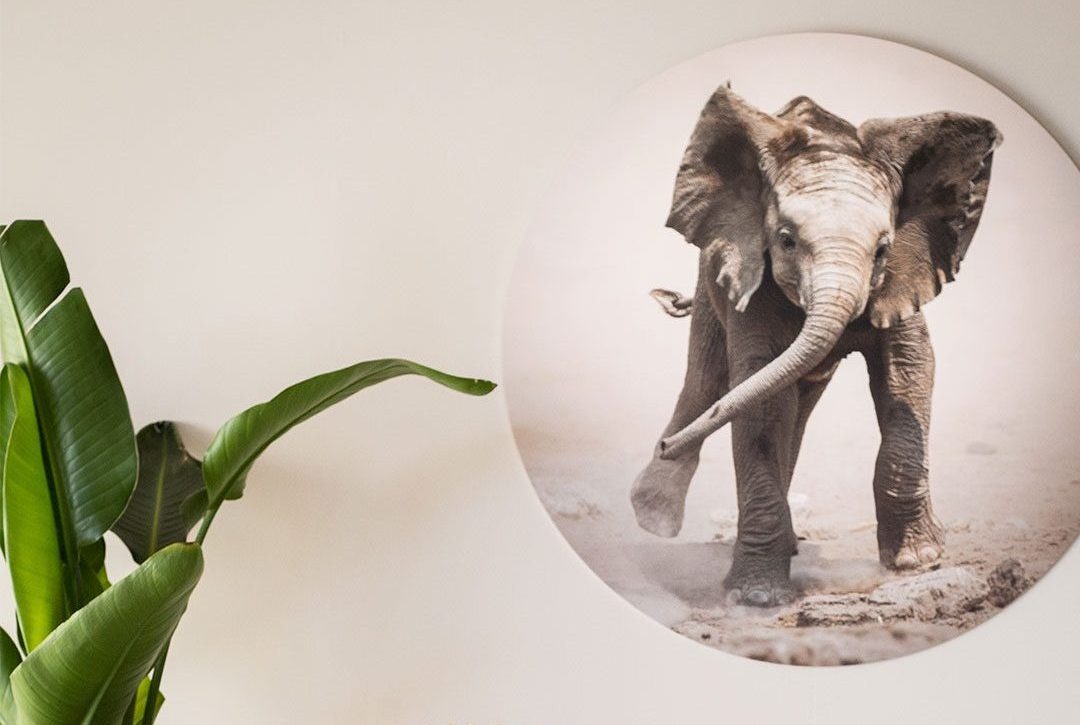 rotan-rieten-stoelen-tips-puurvangeluk